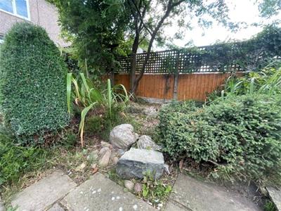 Picture 21